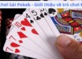 Luật Chơi Bài Pokek: Cách Chơi, Quy Tắc Và Những Điều Cần Biết