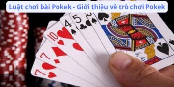 Luật Chơi Bài Pokek: Cách Chơi, Quy Tắc Và Những Điều Cần Biết